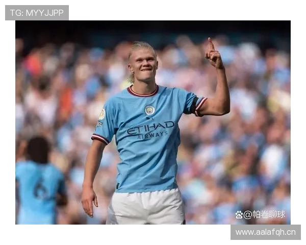 哈兰德效率与体系贡献是否被高估